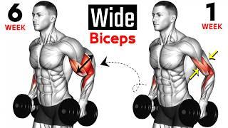 7 BEST Exercises for WIDER BICEPS
