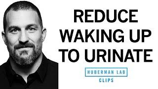 How to Reduce Nighttime Urination | Dr. Andrew Huberman