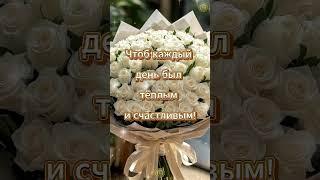 СЧАСТЬЯ ЖЕНСКОГО ЖЕЛАЮ ТЕБЕ #лучшее #видео #открытка #настроение #позитив #рекомендаци #шортс #happy