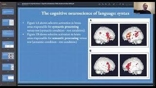 Lecture 9: The Cognitive Neuroscience of Language I: Syntax | COGSCI 1 | UC Berkeley