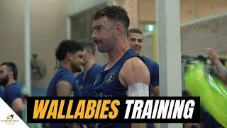 Wallabies Training & Gym ahead of 2nd Test vs Springboks