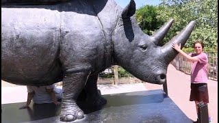 San Antonio Zoo - Full Tour - Aquatics - Reptiles - Amphibians - Birds