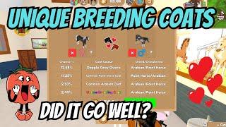 LETS TRY AND BREED UNIQUE BREEDING COATS | Wild Horse Islands