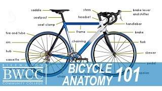 Bicycle Anatomy 101: Learn All the Parts of a Bike