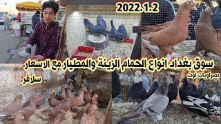 سوق بغداد انواع الحمام الزينة والمطيار مع الأسعار 2022/1/2