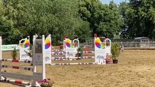 Ladies’ Horse with bloodline of Olympic Champion