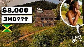 Renting a Cabin in the Hills of Jamaica for a Day