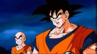 Goku and Krillin are Both Self Employed