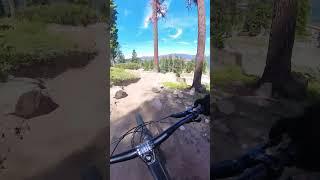 Fast fun connection trail at the bike park #bike #mtb