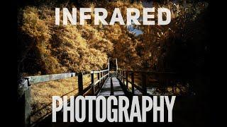 Learn Photography | What is Infrared Photography?