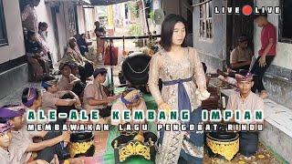 ALE-ALE KEMBANG IMPIAN ‼️DENGAN LAGU PENGOBAT RINDU ‼️