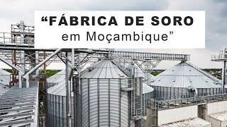 Prof. Adriano Nuvunga recorda os moçambicanos sobre o projecto de construção de uma fábrica de soro.