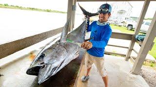 Yellowfin Tuna, Wahoo, Cobia & Dolphin Fish | Clean N Cook