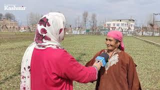 Chota Punjab : Anantnag village turns into farming hub