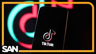 TikTok seeks temporary pause of US ban pending Supreme Court review