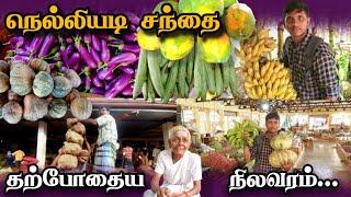 #நெல்லியடி சந்தை | Nelliyadi Market Explore|  Sri Lanka | Jaffna | Tamil | Mr Raj 