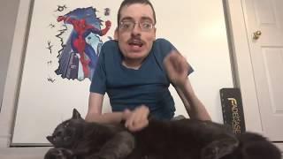 KITTY CAT PIE  - Ricky Berwick