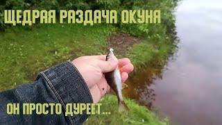 21 июня. Вечерняя рыбалка. Озеро Сортировочное, Нижний Новгород.