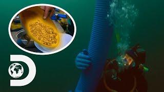 $40,000 Worth Of Gold Found Below Freezing Ice | Bering Sea Gold