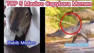 TOP 5 Real Masbro Meme Capybara