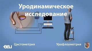 Уродинамическое исследование (EAU - URDY RU)