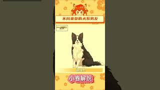 阿阿我選四我選四！淚眼汪汪的小可憐，這誰忍得住啊！#犬系男友#戀愛#二次元#漫畫推薦#漫畫#甜宠 #subscribe #shortvideo #shortsvideo #shorts #short