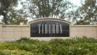 Tiburon - Naples Real Estate