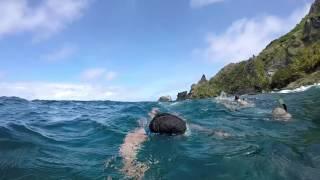 The Bounty wreck snorkel