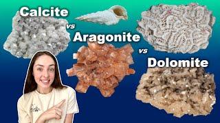 Calcium Carbonate Mineral Formation, Dissolution, Structures, & Geological Significance | GEO GIRL