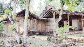 ,,Suasana Kampung Terpencil Suku Jawa Di Pedalaman Ujung KulonJawa Tengah