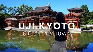 KYOTO Uji Perfect Guide Byodo-in Temple and Uji Green Tea Tour Japan Travel Vlog