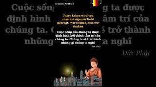 Buddhas Lehren | German 29 #Phat #trietlysong #lodaynguoixua