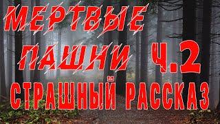 СТУДЕНТЫ ПОГИБЛИ или смогли выбраться ?.. - часть 2 - Мистика - Зомби - Страшные истории на ночь