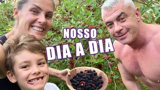 NOSSO DIA A DIA | ANA HICKMANN