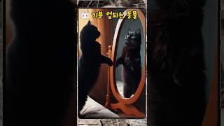 기분 업되는 동물 #shorts