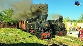 Mocanita BAVARIA 764 435 Steam Loco/Damfplok Pleaca din/Leaving Viseu de Sus - 02 August 2017