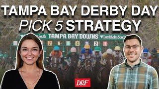 Tampa Bay Derby Day Pick 5 Strategy | March 8, 2025