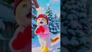 cute cat videos #youtubeshorts #ytvedio #shortvedios