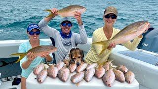 *MASSIVE YELLOWTAIL* and a HUNGRY DOG! Snapper Catch/Clean/Cook