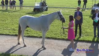 717J2 Tate Northrop on Fine With Me CCIJ2* Long Jog 2 Rebecca Farm July 2019