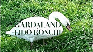 #402    Bicvllog vado a Gardaland e lido Ronchi di Castelnuovo del Garda Parchi del Garda