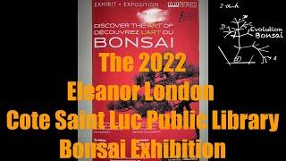 The 2022 Bonsai Exhibition