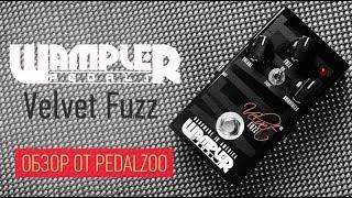 Wampler Velvet Fuzz - Обзор от PedalZoo