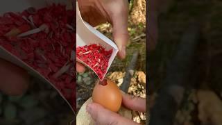 Bomb of eggs and matches  #outdoors #survival #asmr #bushcraft #camping #forest #fire #skills