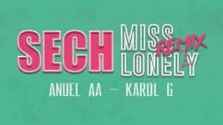 Sech Ft. Anuel AA Karol G - Miss Lonely (Official audio)