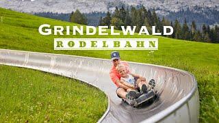 [Rodelbahn] Rodelbahn Grindelwald Pfingstegg Schweiz | 4K-Video mit 60 fps