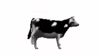 Dancing Polish Cow | Dancing for 1 Hour Version.