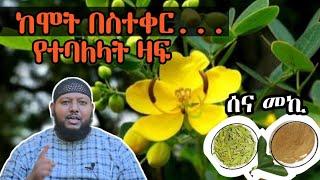 ሰና መኪ - ከሞት በስተቀር የተባለላት ዛፍ ጥቅሞቿ [ቅምሻ] ዶ/ር ዑስማን መሀመድ | Senna Meki | Dr Ousman Muhammed