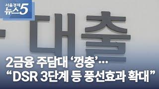 2금융 주담대 ‘껑충’…“DSR 3단계 등 풍선효과 확대”