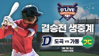 도곡 vs 가동 제21회 딜라이브기 초등학교 야구대회 결승전 생중계ㅣ딜라이브TV